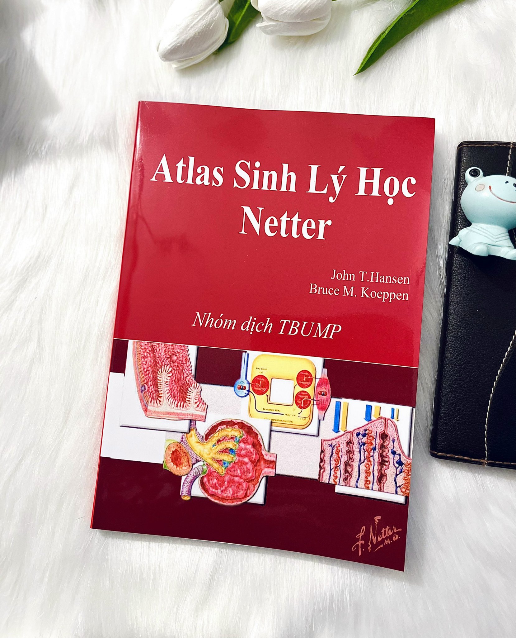 Atlas sinh lý học Netter – Bản dịch Tiếng Việt