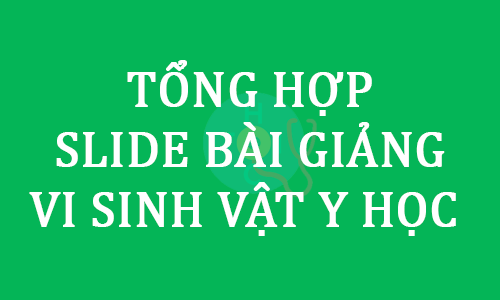 TỔNG HỢP SLIDE BÀI GIẢNG VI SINH VẬT Y HỌC 